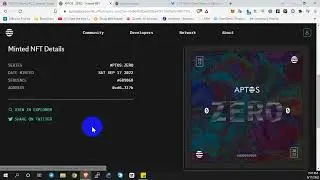 Mint Aptos Zero Testnet NFT | Future Airdrop for Testnet NFTs Holder
