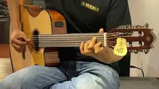 Yamaha NT1X
