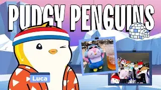 Inside the Web3 Iceberg: Pudgy Penguins' Journey to Building a Dynamic IP Company