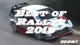 Best of rallye 2019 par SEB87