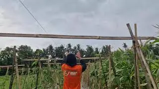 Amazing Hands-Only Method to Secure Climbing Plants &ndash; Genius Hack! - Agriculture Farming