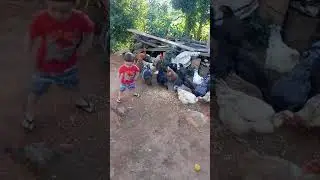 Bricando com os c&oacute;c&oacute;s