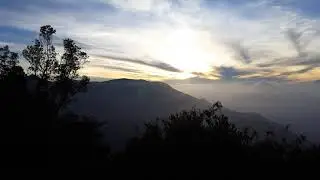 NAGRAK DIVISION , Nonpareil Estate 2021
