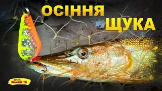Осіння щука