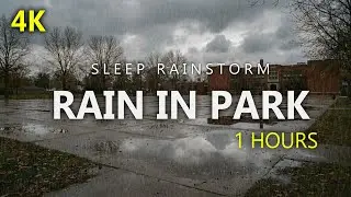 Heavy Rain Promotes Deep Sleep And Relaxation | Instant Deep Sleep Rain