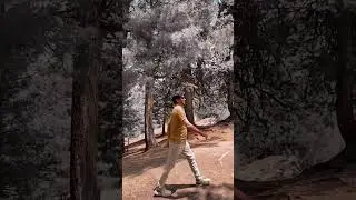 Fairy Meadows PAKISTAN Wonderful Tour June 2025
