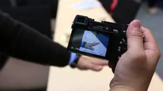 Sony A6000 high speed AF Lock