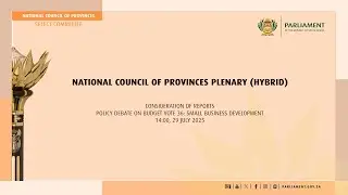 NATIONAL COUNCIL OF PROVINCES PLENARY, 29 July 2025