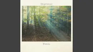 Woods