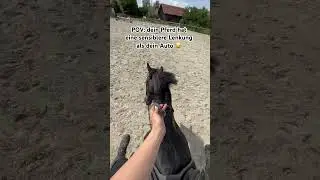 Seid ihr schon mal Western geritten? 🥰 #pferde #lustig #pferdevideo #westernpferd #lustigepferde ￼