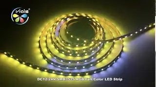 DC12/24V Digital Programmable SMD3535 Rgb Full Color Pixel Led Strip