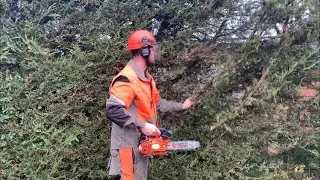 Parker top handle chainsaw cheap