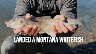 A Perfect Day on the Ruby River | Montana Fly Fishing