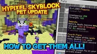 HOW and WHERE to get PETS on Hypixel Skyblock | Pets Update Guide