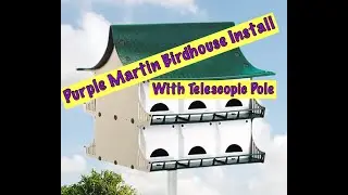 Purple Martin Birdhouse & pole installation