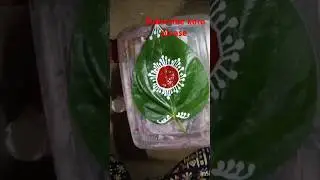Bengali bridal Pan pata art 🎨 #weddingdesign #trendingshorts #virelvideo #piyalialpona