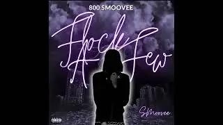 800 Smoovee - Flock A Few (Official Audio) (ProdByMdott)
