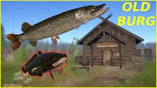 Pike & Burbot Old Burg Russian Fishing 4 rf4 spot #256 #mjplay