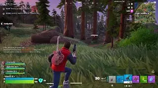 Fortnite_20260117190704