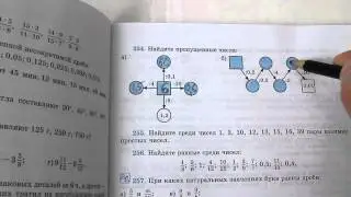 Задача №254. Математика 6 класс Виленкин.