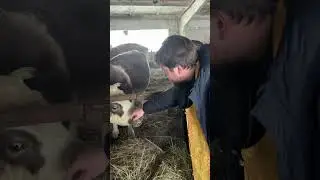 Как я освящал ферму🐄🐄