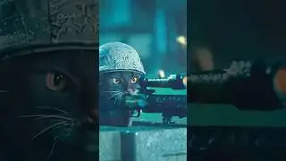 This Cat Commando Team's Raid Went Perfectly #funny #shorts #cat