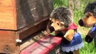 die Buxtehuder Schlingel bei der Obstbl&uuml;te
