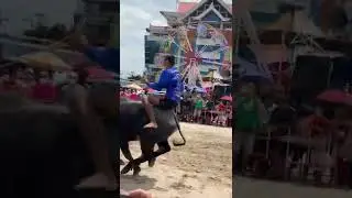 #buffalorace #Thailand #Chonburi #2022