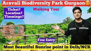 Aravali Biodiversity Park 🌿 | Hidden Green Paradise in Delhi NCR | Full Tour