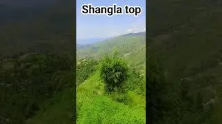 shangla top very beautiful place