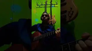 Timbre top desse viol&atilde;o #fly #musica #strinberg