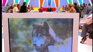 Florence Foresti - Lady Zbouba : L'&eacute;leveuse de loups - On a tout essay&eacute;