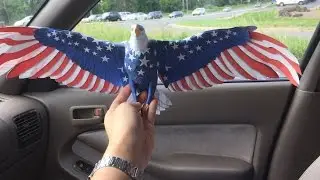 Bald Eagle Papercraft by Ikuo Anazawa