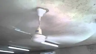AMC ceiling fan (Union Ngok Kee)