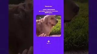 Не устанем повторять, что продвижение соцсетей не может стоить дешево, если это качественные услуги.