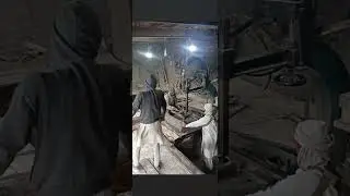 Wood SAWMILLING Highlights |Wood Workshop|