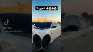 392 Dodge charger bagged 😤😤 #392 #automobile #392challenger #v8 #srt #392club #v8muscle