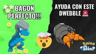 BAGON PERFECTO!!! // DWEBBLE NECESITA AYUDA // POK&Eacute;MON SLEEP // 2025