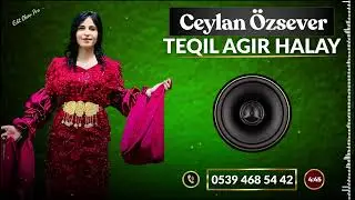 TEQIL AĞIR HALAY CEYLAN &Ouml;ZSEVER 