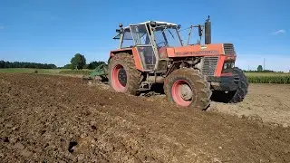 25 Minut Dźwięku Zetora😱 Orka Pod Oziminy😁 Zetor 12011/45😏
