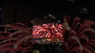 Happy New Year 2025 ✨️🎉🎈 #southkorea #travel #happynewyear2025 #seoul #countdown #winter #korea2025