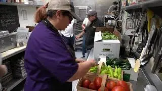 A Tale of Farm to Table - Produce Peddlers