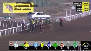 Jebel Ali 310126 Race 7