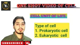 Types of Cells