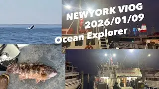 미국 뉴욕_뉴저지 벨마(NewJersey Belma) Ocean Explorer 배낚시 Blackfish 돔 미국바다 고래(whale)