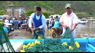 Strengthening Decent Work in the Fishing Sector in Ecuador