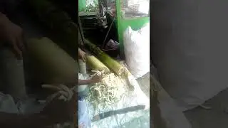 Debog pisang sebagai pakan ternak