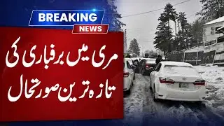 Snowfall in Murree, rush of tourists - Breaking - Neo News