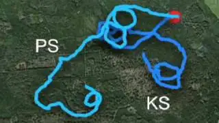 We can't help walking in circles