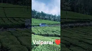 Nature of happiness #love #song #akrvlogs #shortvideos #comedy #shorts #nature
